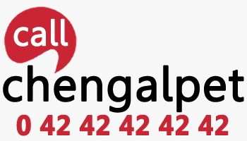 callchengalpet.com